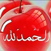 seif